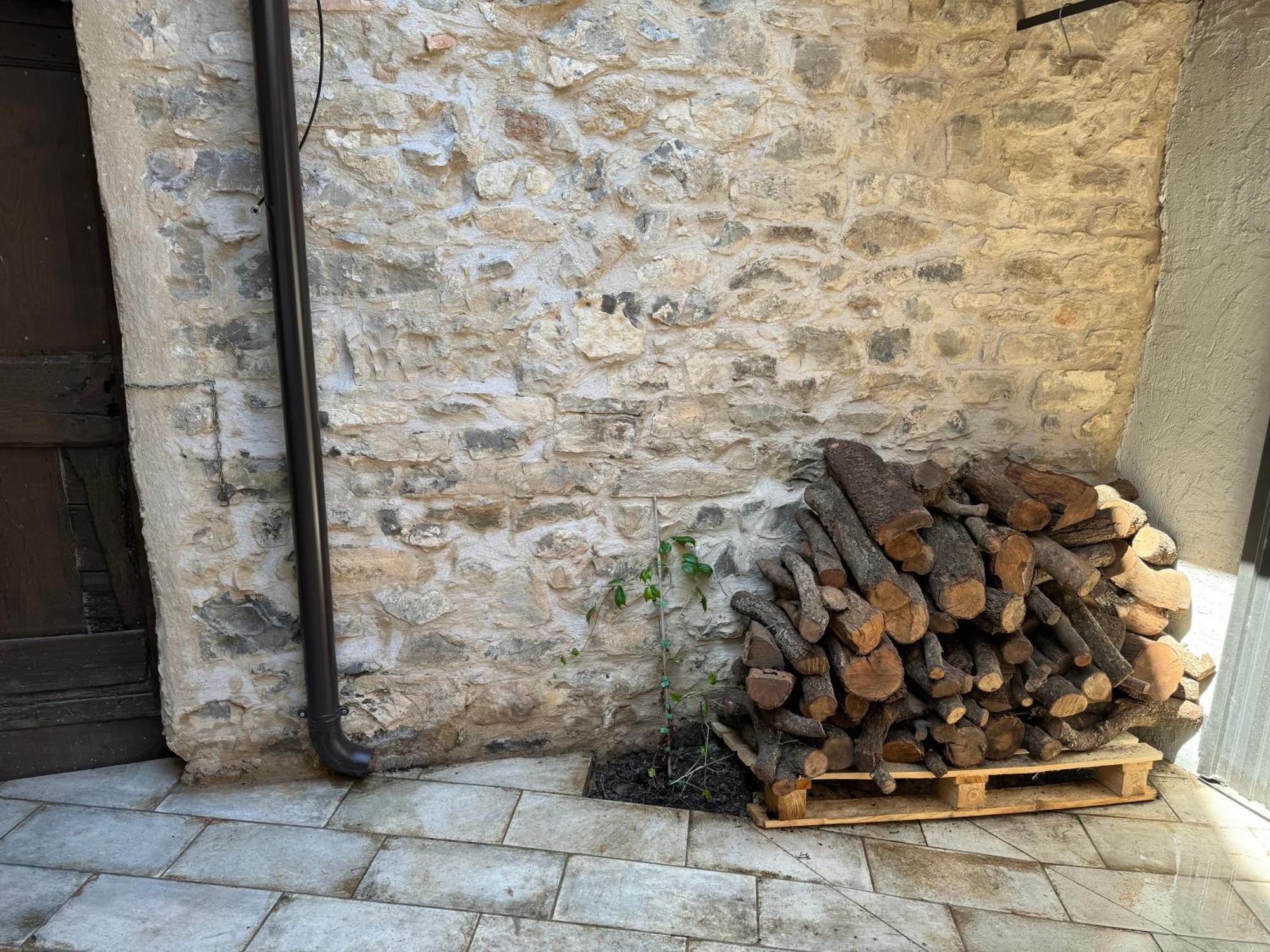 Apartament El Niu De